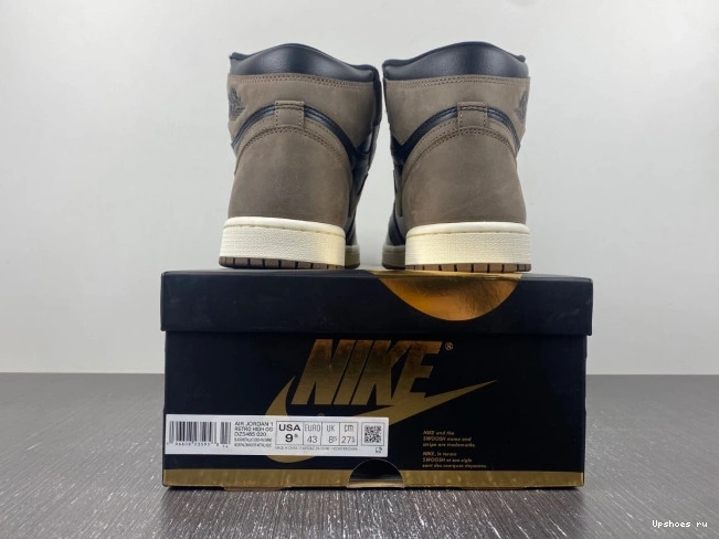 Palomino Jordan Retro DZ5485-020  OG  1  High 0808